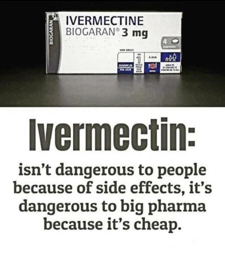 Meds335