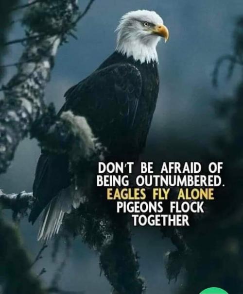 Eagle