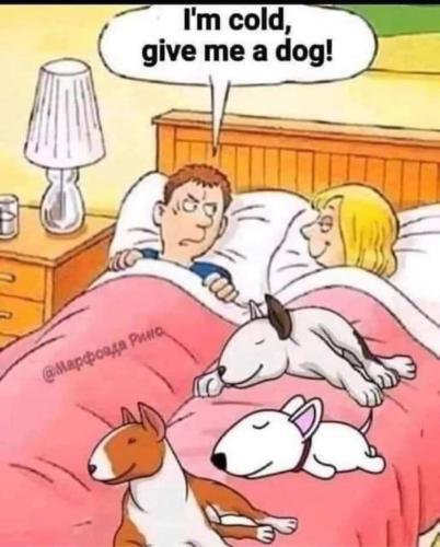 030F53BD-B0A9-4DC8-BCFD-07EF671F1CB3