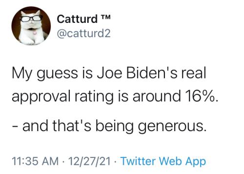 image_1640642783.509