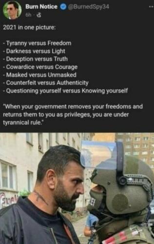 49f79e80673f1d6c3dcf9027c266d005_500x0