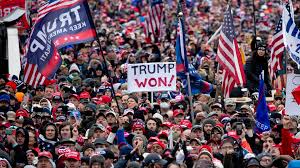 trump won 2