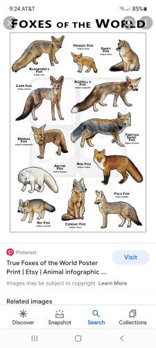 Screenshot_20211209-092446_Google