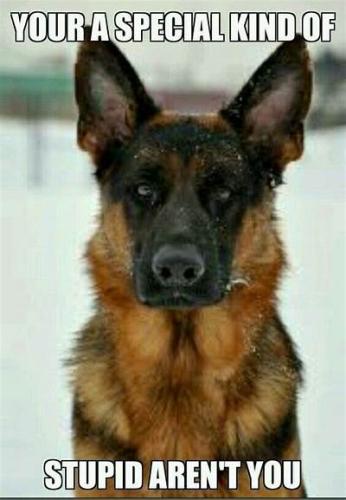 AE31ECCB-3618-40C7-8463-0CDF5F8BC045