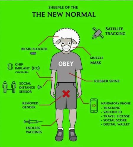 04015254080646e23ded36d30deb2a96