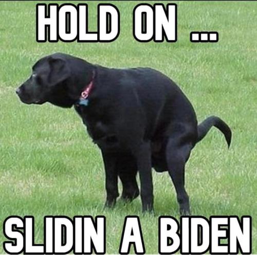 slidin a biden