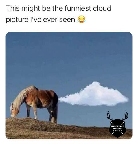 image_1639775653.974