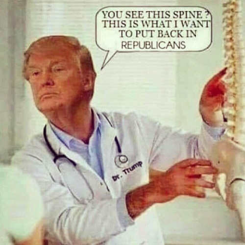trump-see-this-spine-need-to-add-this-to-republican-party