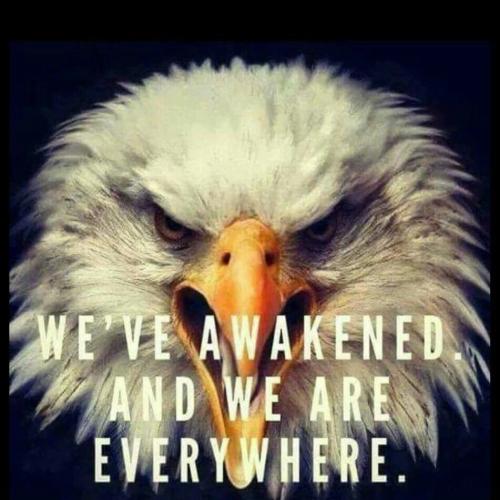 152c4c3254a95cdc7b5a31f2b5202245_1024