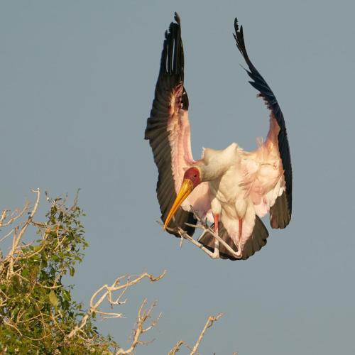 61884770-9725-40A3-A9D2-B85CD95F53D0