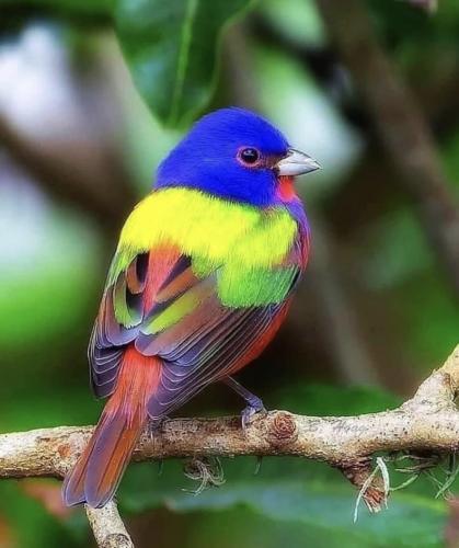 A2A9C8EA-3433-4C61-93CF-5CF4CE0973F9