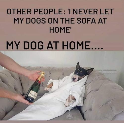 FB_IMG_1639257571969