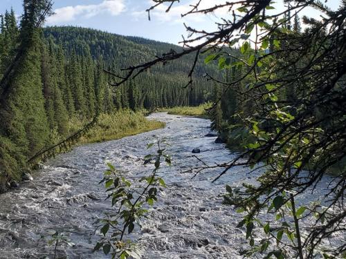 AlaskaTrip6