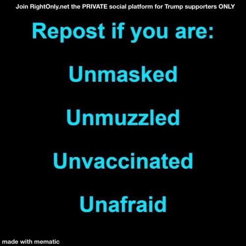 29e9dc102cafadc2bc5f21c50e6625c7_500x0