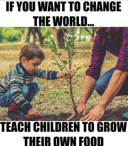 Screenshot_20211206-173519~4