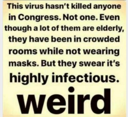 cd6f8f2fef3c6789fd3b55dd6c284a9b_500x0