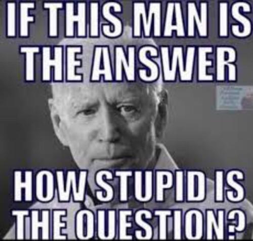 Stupid
