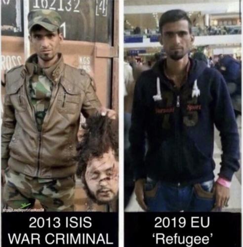 c8811523fda38aea5abeff534699c2a4_500x0