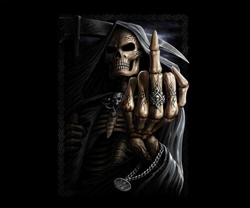 Attitude Skull_2