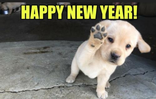 pupyear
