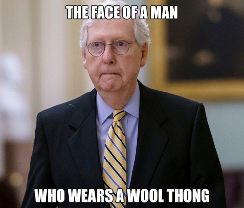 0c79a7fa08653bf1b7246faec10c4005_500x0