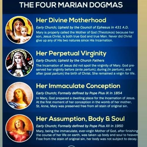 IMG_20211207_080411_671