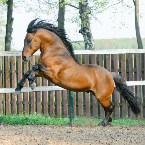 files (21) (2021-04-22T02_11_23.075)