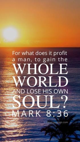 0c292a81-aad1-416b-88f3-04a5d2eba1bf