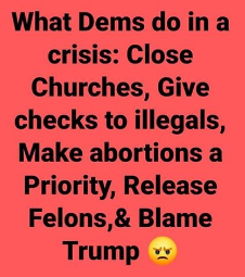 What dems do Maga