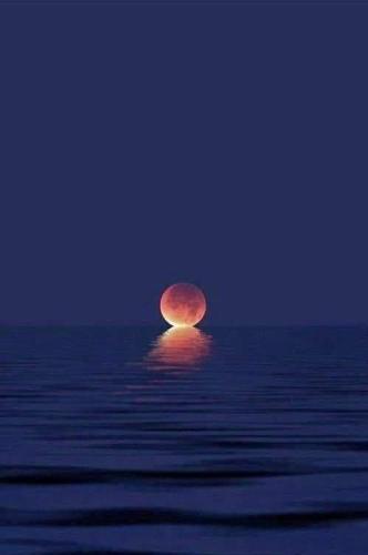 FA52ABC5-801C-4993-A98F-CC5654573C64