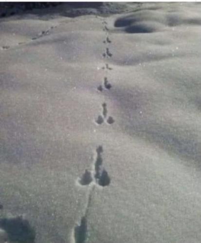 252C6712-B31D-4814-944B-058EF2C276A5