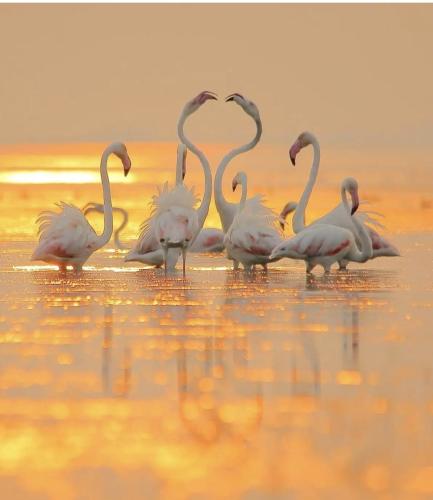 26967ABE-489C-413A-8604-7DA1DFC69602