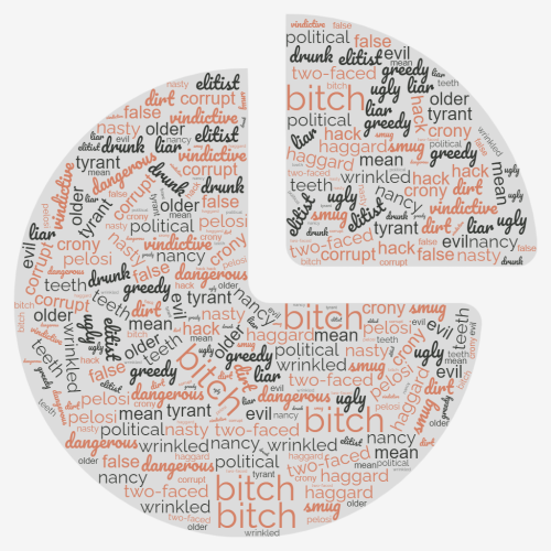 nancy word cloud