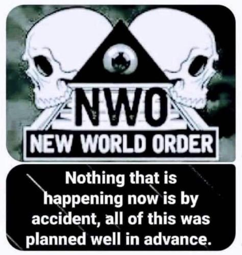 M NWO