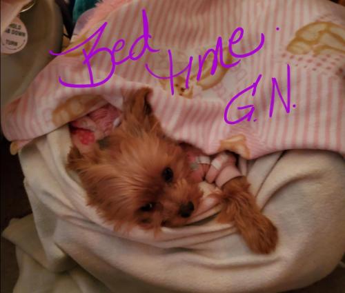 Screenshot_20220106-100630_Photos