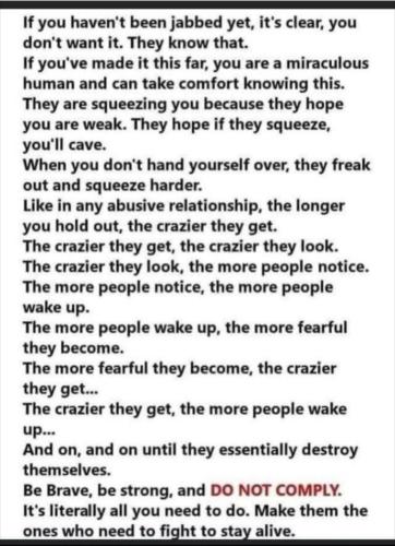 Screenshot_20220104-104801_Wimkin