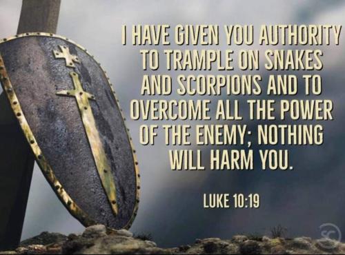 FB_IMG_1643482224940