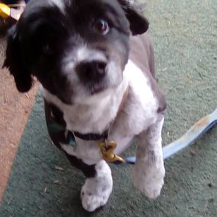 17016975_1397893110283710_5575179509653587828_o