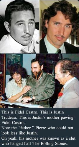 image_1643669532.042