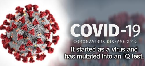 It started as a virus and has mutated into an IQ test