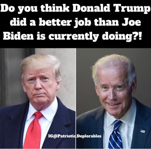 ba23b0d73e481d98c1b8fb38bbad959c_500x0