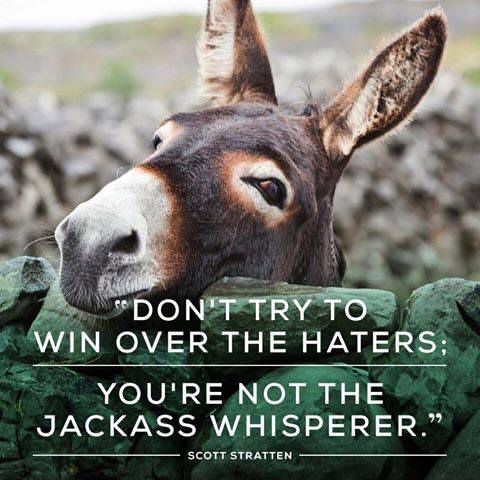 jackass