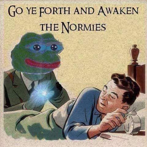 AwakenTheNormies1
