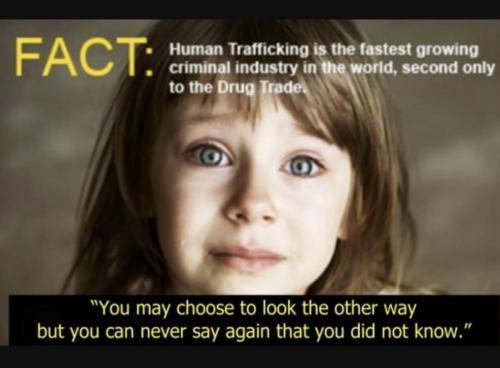 CDC1F96D-C029-4DEF-8672-F824C9F5EBA0