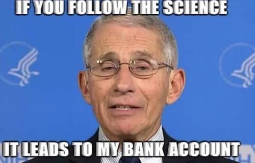 image_1642875456.437