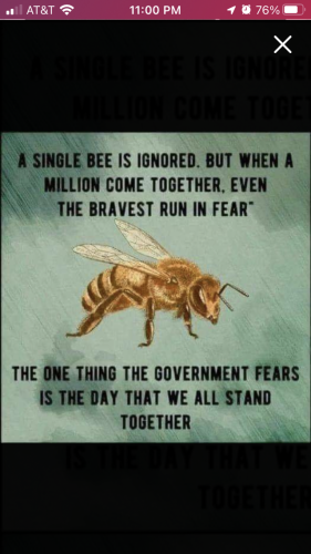 B2EEDC82-CD6A-450F-B366-52CC3EC7E9AE