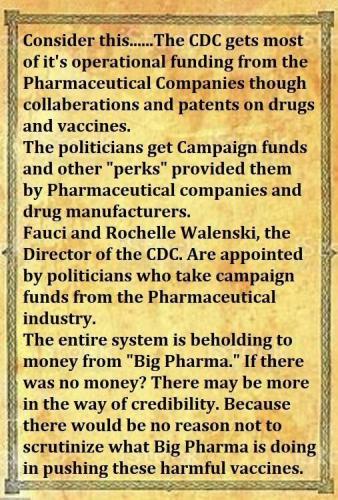 bi09img (12)