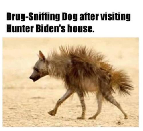 E7C7C59B-F792-48D5-AD9A-5B84256E9E08