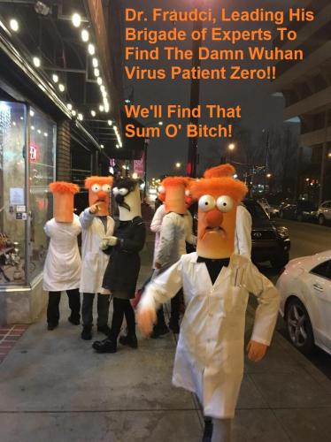 Fauci Brigade Experts Looking Patient Zero
