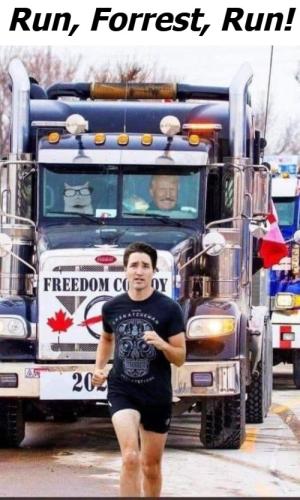 Run Forrest Run Turdeau